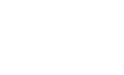 Chinese Restaurant BEIJING 北京新館