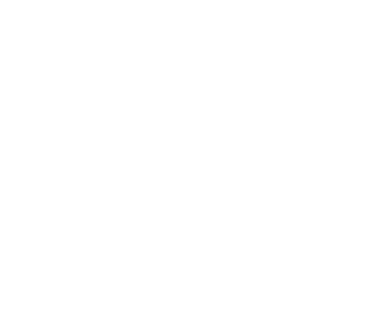 THE YAMAZAKI SINGLE MALT WHISKY
