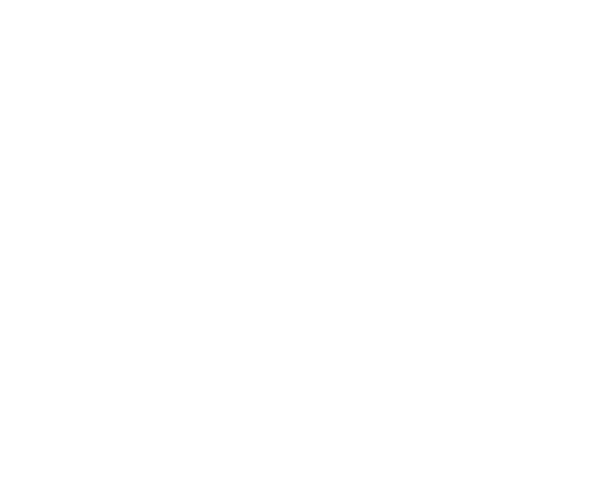 THE HAKUSHU SINGLE MALT WHISKY